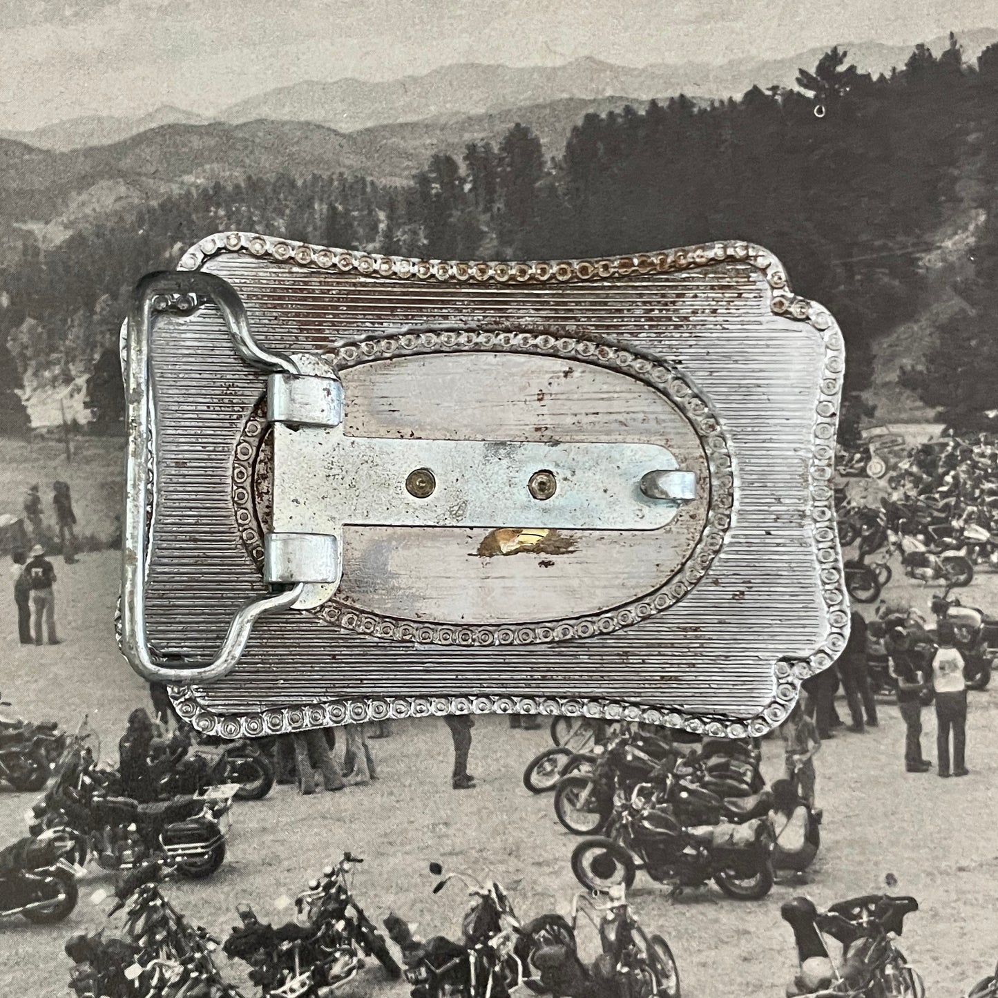 Horse Buckle
