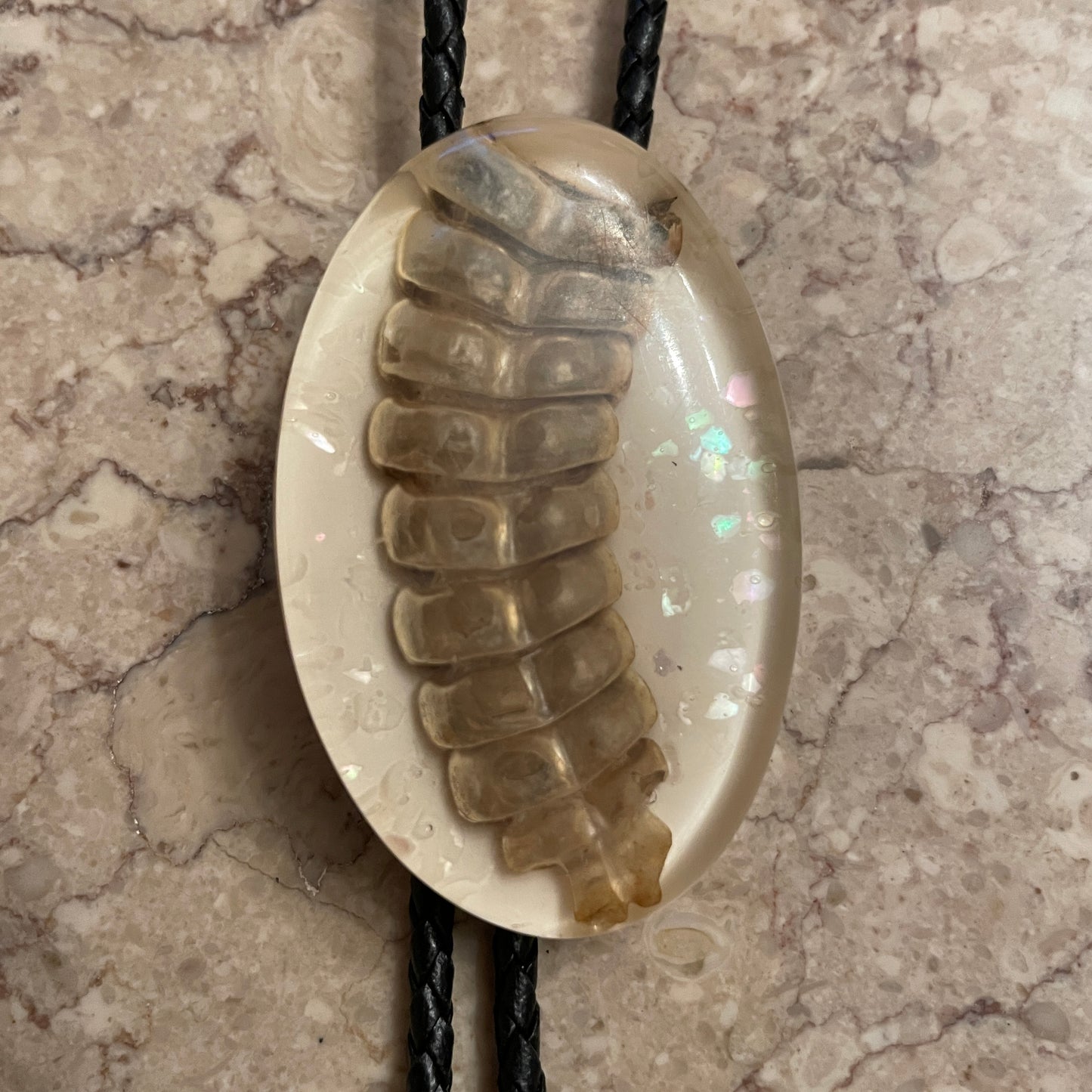 Rattlesnake Rattle Bolo
