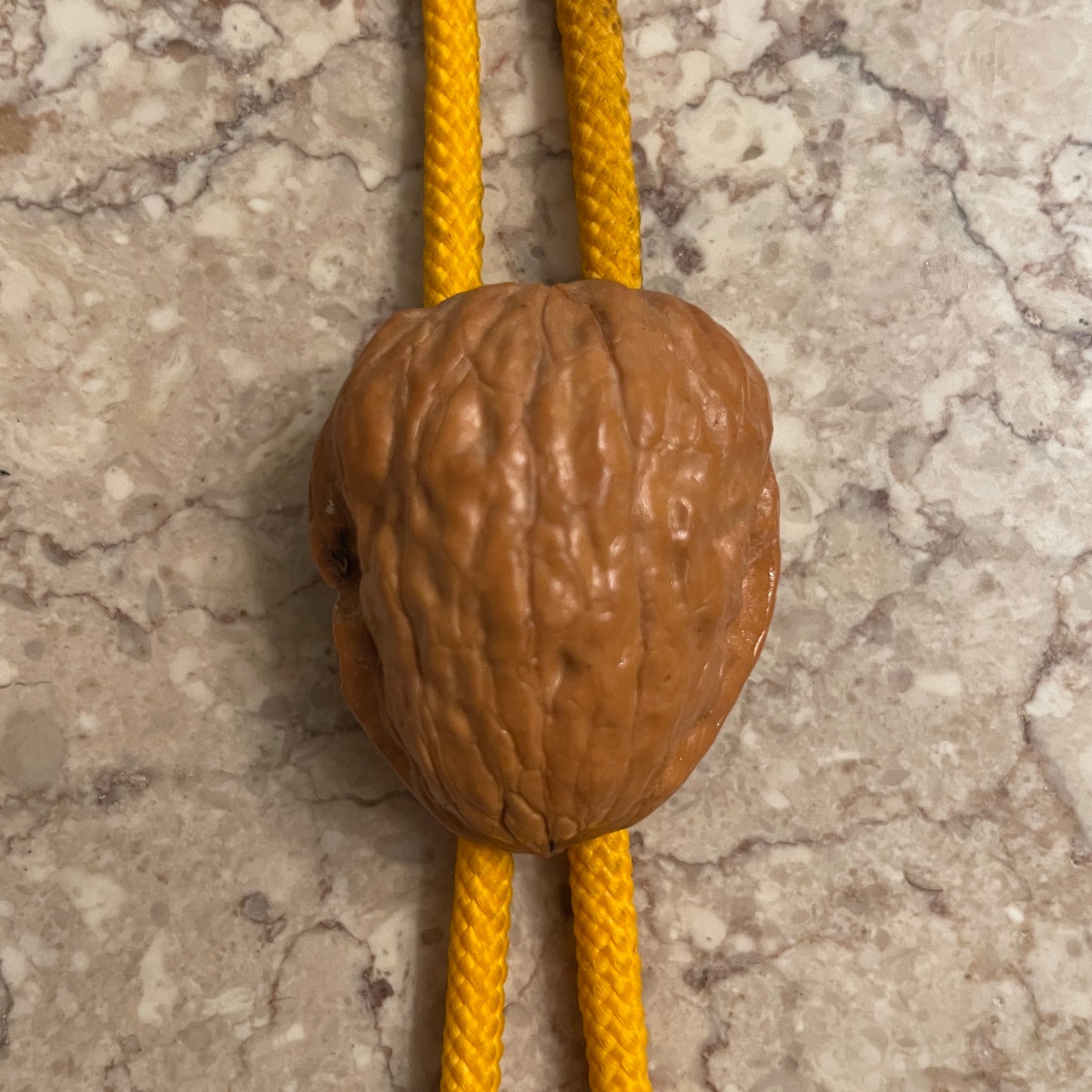 Walnut Bolo