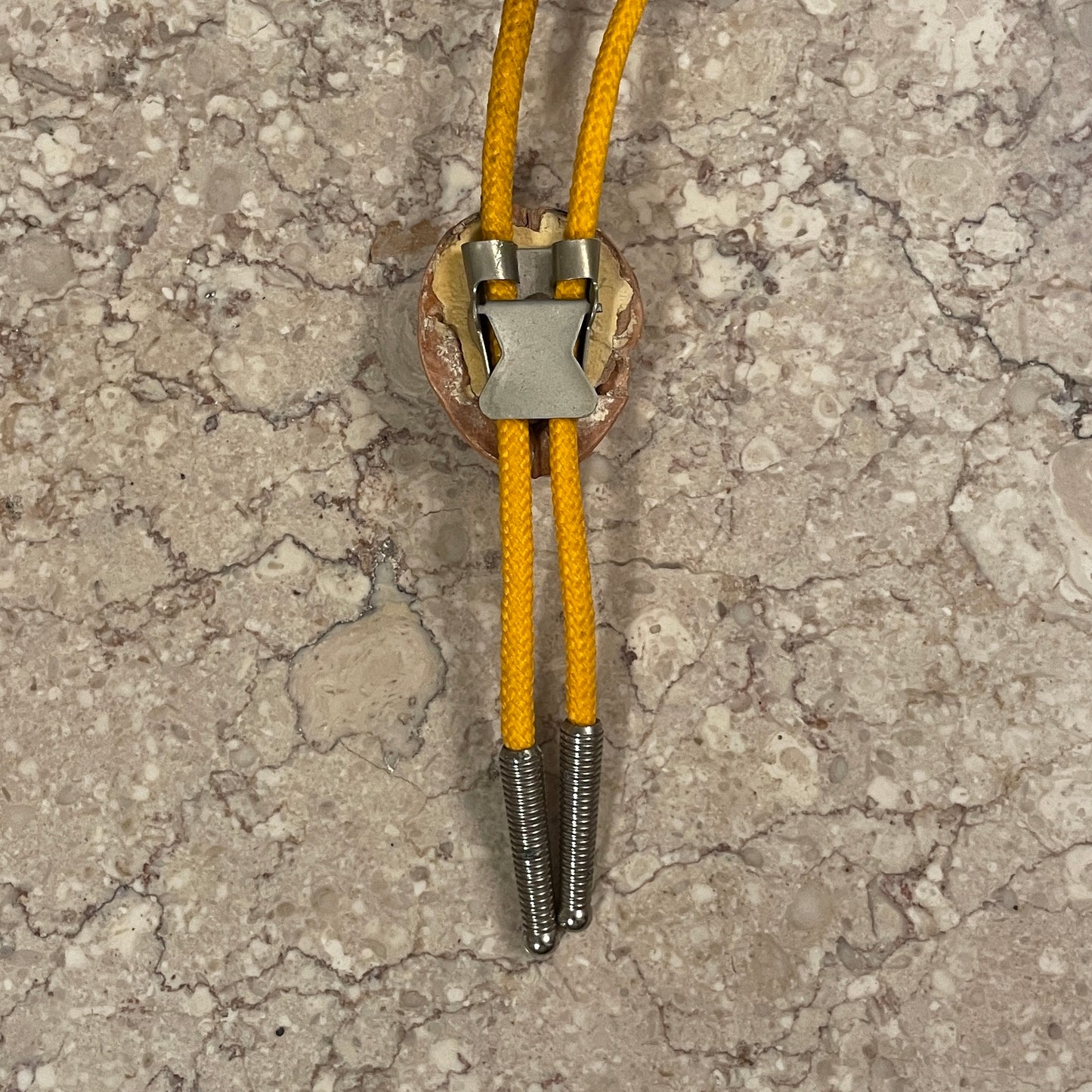 Walnut Bolo