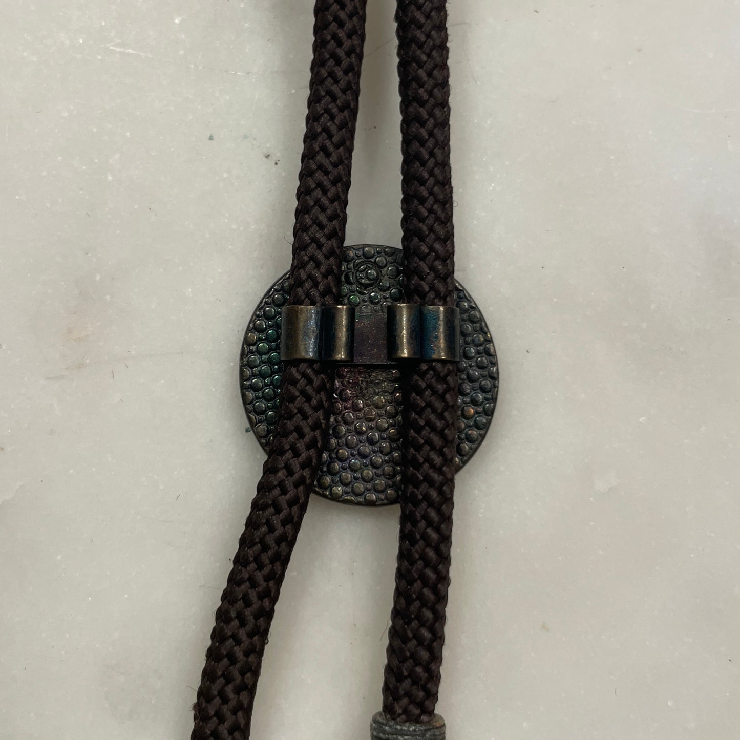 Lion Coin Bolo