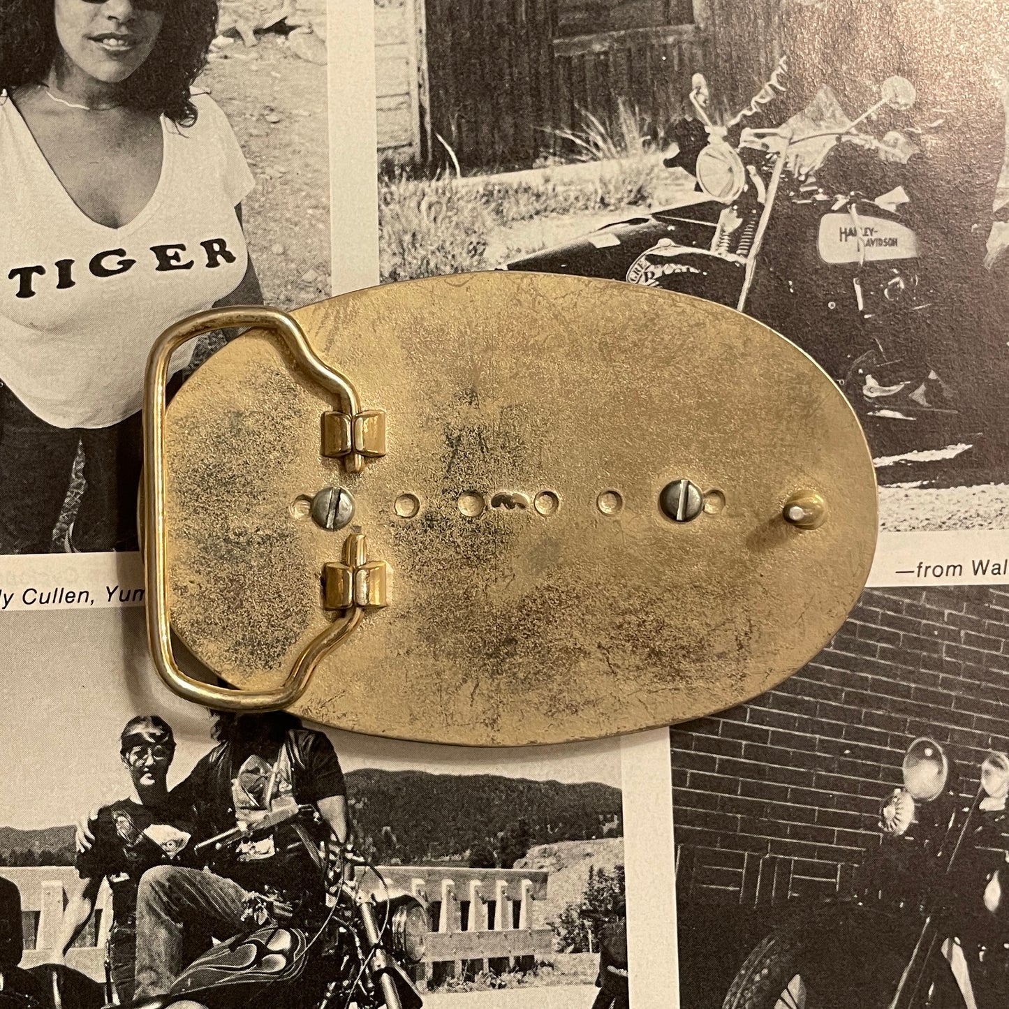 Horse Head Buckle