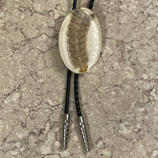 Rattlesnake Rattle Bolo