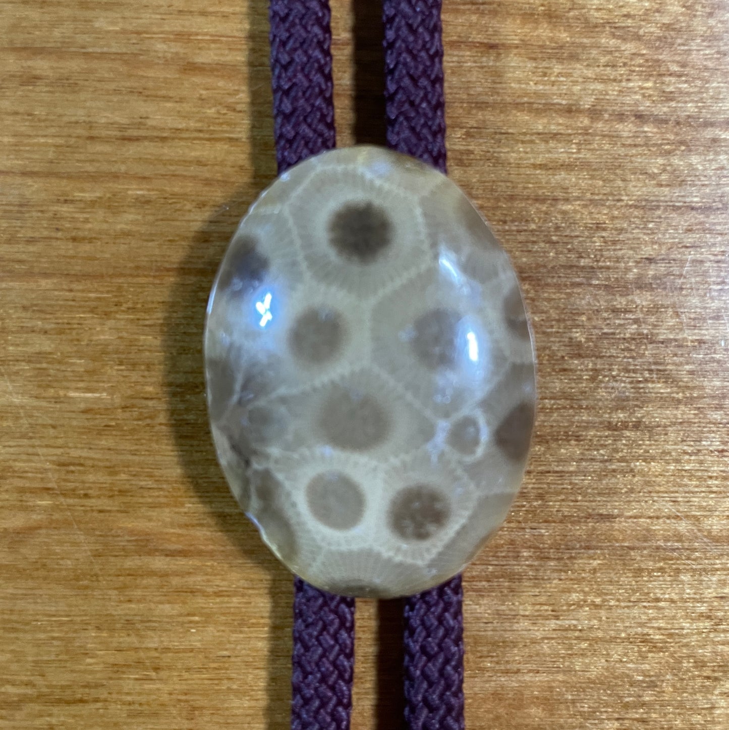 Petoskey Stone Bolo